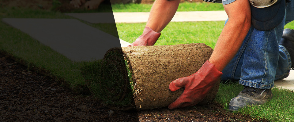Toano Landscapers